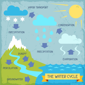 2.2 The Water Cycle - Mr. Herrick's Science Classroom